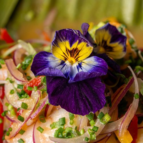 edible flowers